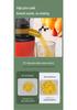 Automatic Small Household & Commercial Juicer with Pulp Separator