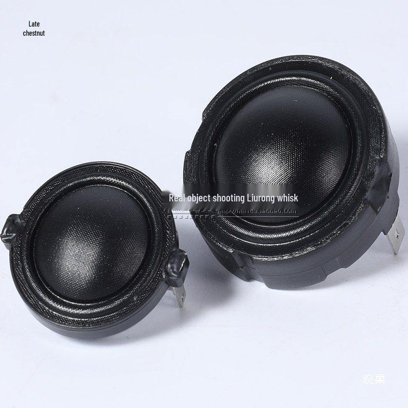 Silk Diaphragm Tweeter Speaker Unit, Audiophile HIFI with Strong Magnet