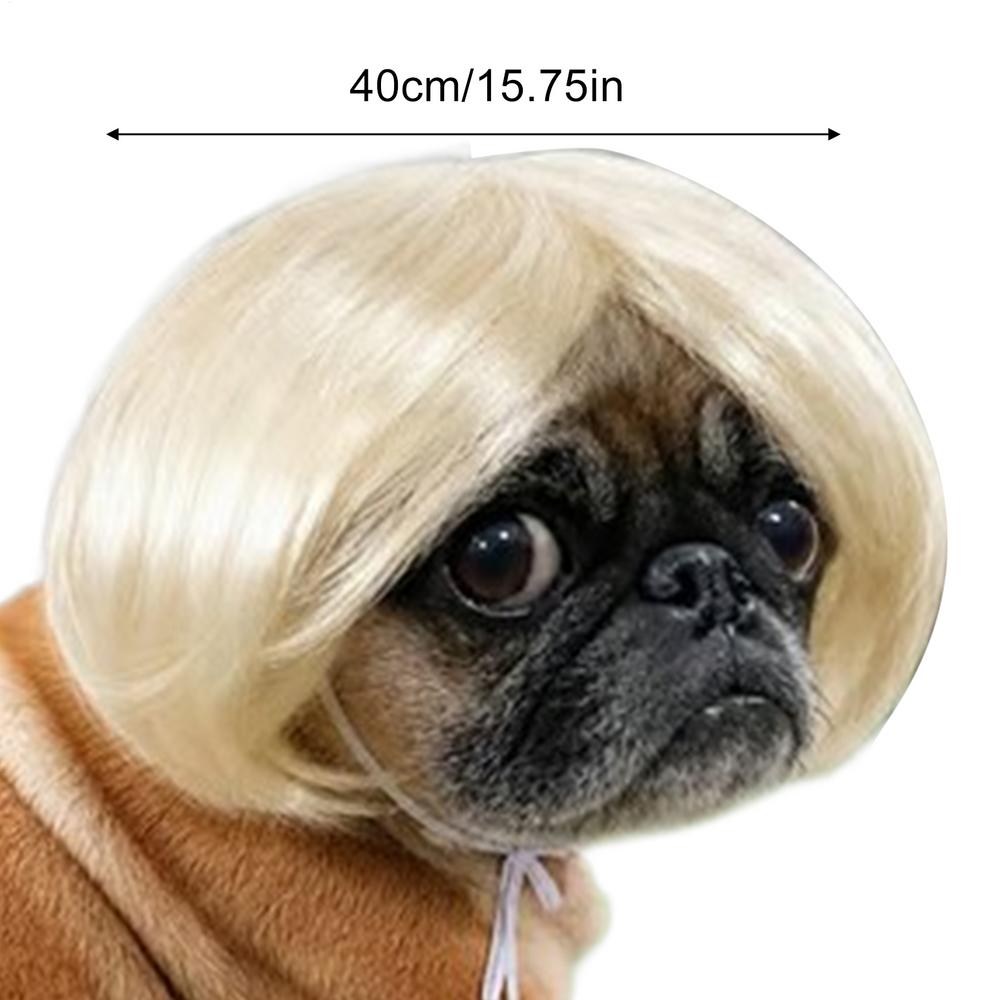Pet Wig Dog Wig Funny Pet Wig Halloween Pet Accessories Curly Hair Straight Hair Cat Wig It Can Be DIY Trimmed Pet Supplies