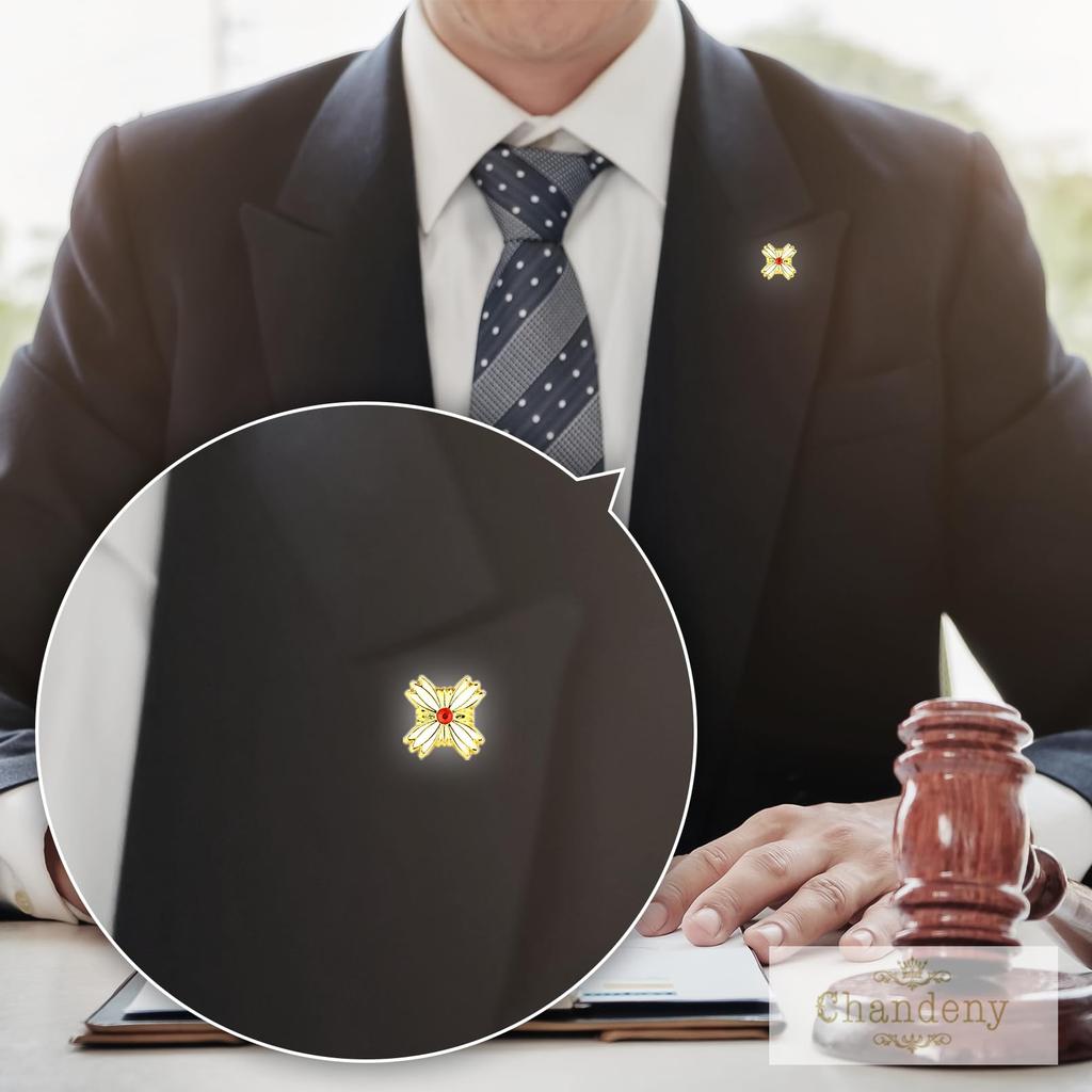 Chandini Badge Pin Badges for Lawyers and Play Set of with Storage Gold Badges Set, Prosecutors, Collection, Props, Cosplay, 2, Display,