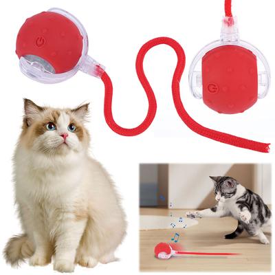 Gatti – Giocattoli per gatti