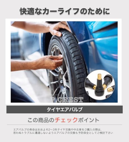 P.CREST Air Valve Tire Snap-in Valve Valve Core with Cap (TR414 (20 Pieces))