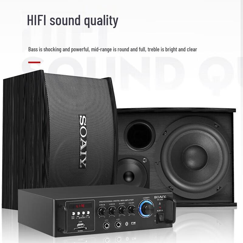 Soaiy CK-M6 Home Theater KTV Audio System CN plug (adapter included)