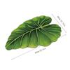 Easy To Clean Non Slip Doormat Diatom Mud Material Bathroom Foot Rug  Home Corridor