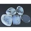 200Cts. Natural Dendrite Opal Agate Mix Cabochon Loose Gemstone 05 Pcs Lot C-1320