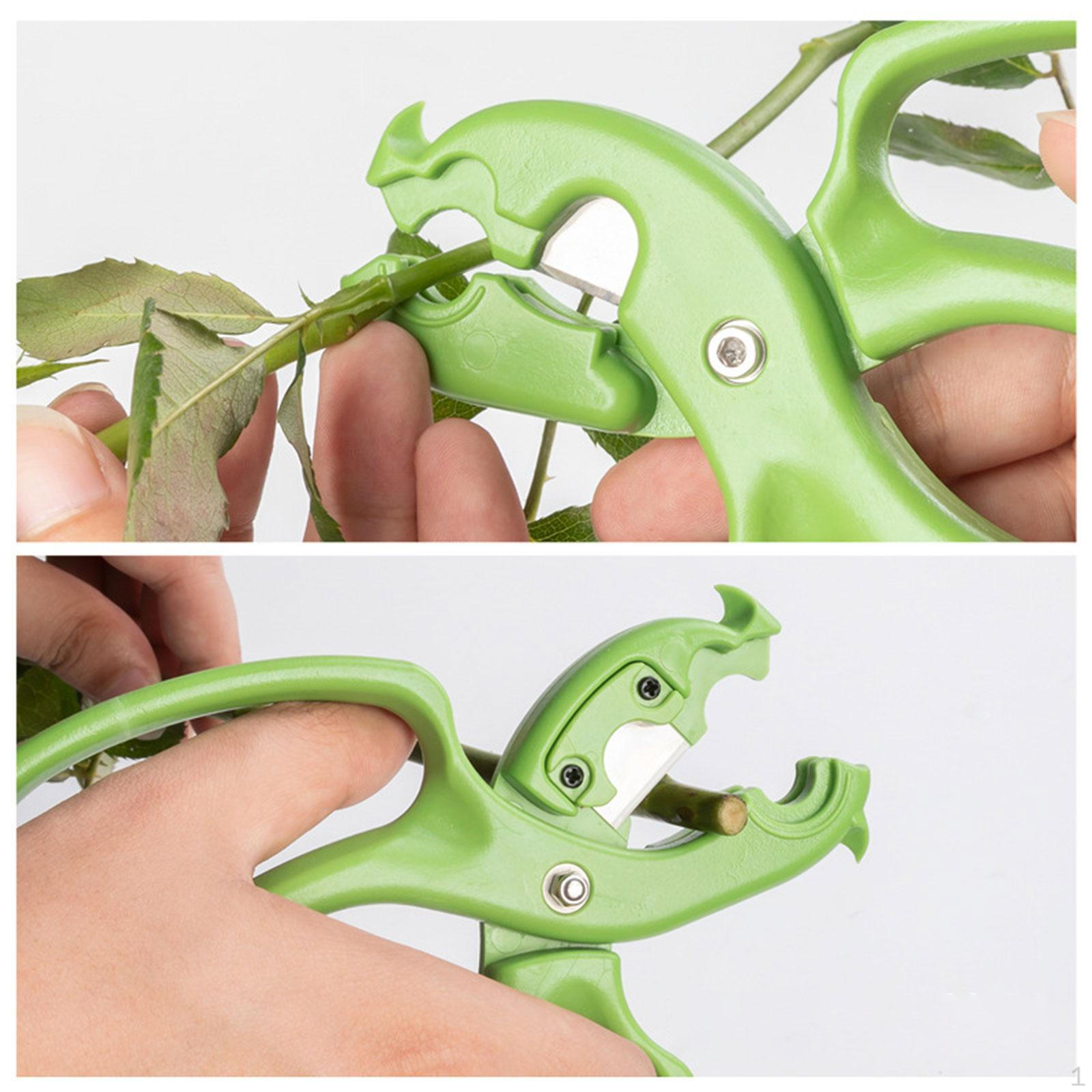 

Инструмент для удаления шипов роз Прочный удалитель для садоводства Розовый зелёный