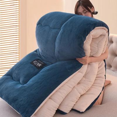 Flannel Thickened Winter Quilt Pure Color Milk Flannel Quilt Lamb's Wool Quilt Warm Winter