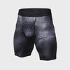 Men's Quick-Dry Printed Sports Compression Shorts & Tights