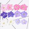 12Pcs Flowers Decoration High Imitation Bright Color Dried Flowers Dried Pressed Flowers for Nail Sticker Floral Decors