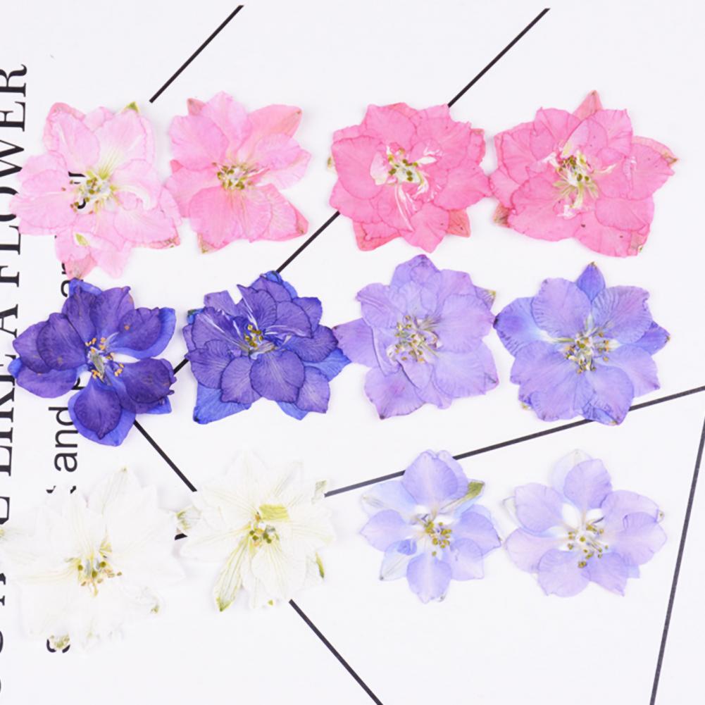 12Pcs Flowers Decoration High Imitation Bright Color Dried Flowers Dried Pressed Flowers for Nail Sticker Floral Decors