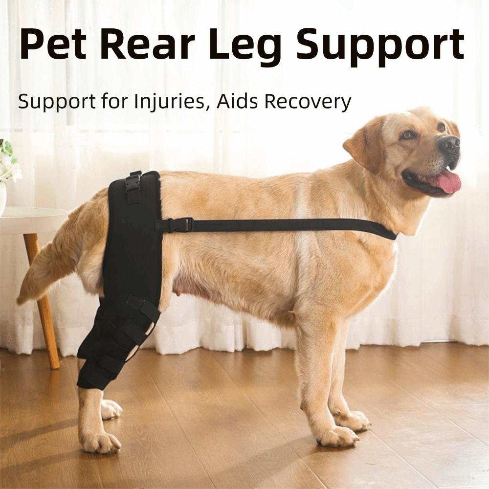 Adjustable Dog Knee Brace Comfortable Dog Leg Support Brace Pet Joint Protectors Wound Protection