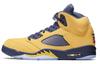 Air 5 Retro Sp 'Michigan' CQ9541-704