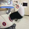 Electric Wagging Tail for Car USB Rechargeable Fox Tail Decoration with Remote Control