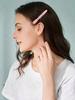 Multi Functional Hair Cli With Crocodile Clip And Hair Styling Clip Positioning Partition, Suitable For Hairdressers And Professional Hairstylists