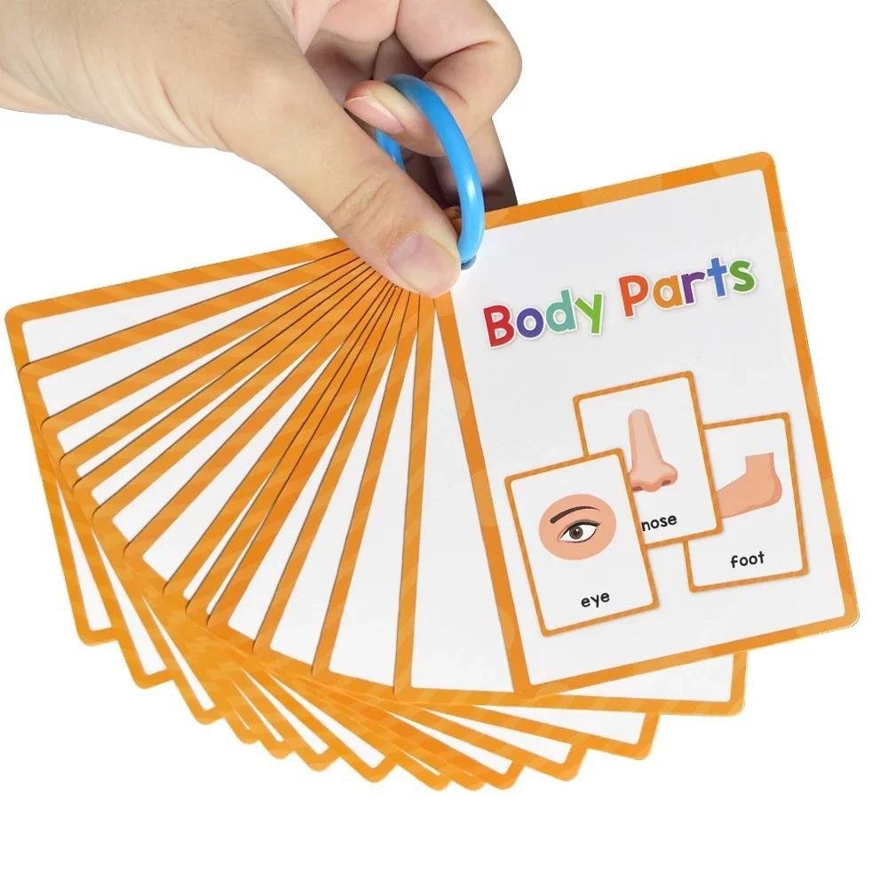 15 Cards Children Body Parts Cognitive Card Montessori Toys Flash Cards for Kid Education Enlightenment  English Learning  Card