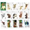 Carolata Real Animal Learning Playing Cards Animals Animal Toys Educational Toys Playing Cards Games Picture Book Gifts Presents (Animals/Quiz