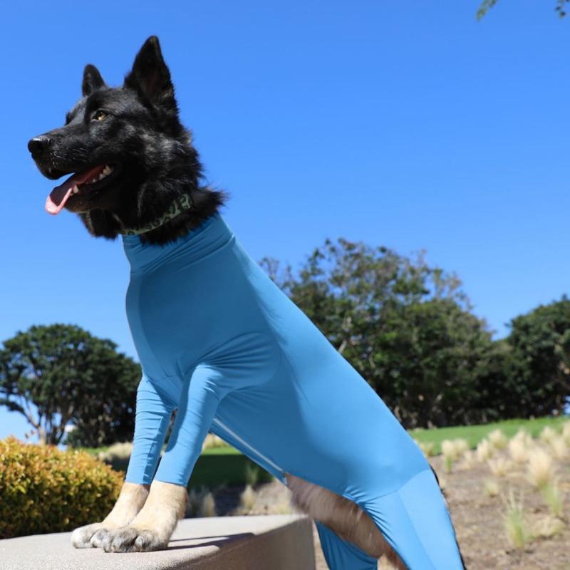 Medium and Large-sized Cat All-inclusive Dog Four-legged Autumn and Winter ClothingPet Clothing Cat Stretch Base Layer Shirt