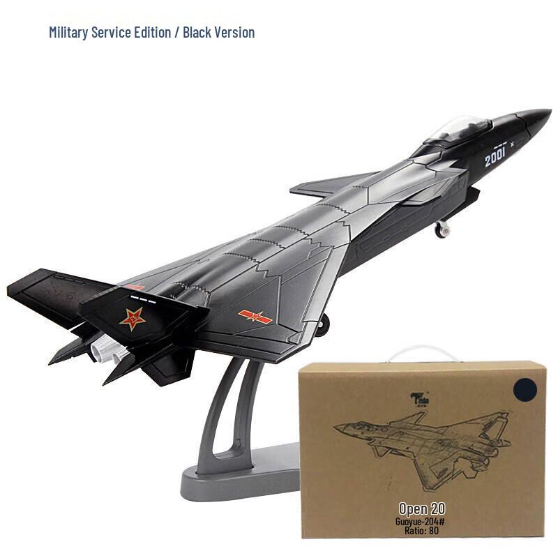 J-20 Fighter Jet Metal Model 1:100 Scale