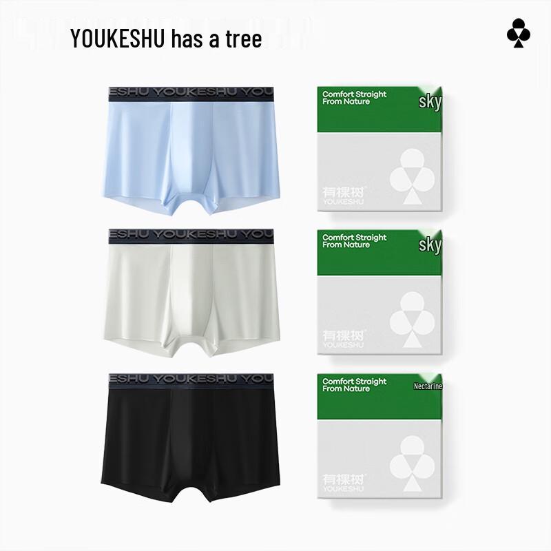 Men's Ice Silk Antibacterial Boxer Briefs