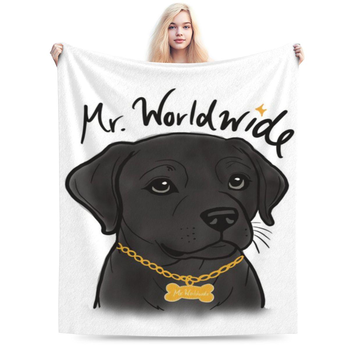 Mr Worldwide Himself Personalized Comfortable Gift An UltraSoft Micro Fleece Blanket 75x100cm 30x40in