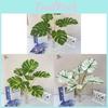 Handmade Greenery Leaf Wall Art For Indoor Decoration And Photo Backdrop In Living Space