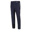 Regatta Mountain III Pants