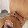 New Soft Cat Dog Snail Costume Cute Cartoon Snail Pet Costume Easy To Wear Cat Dress Up Halloween Christmas