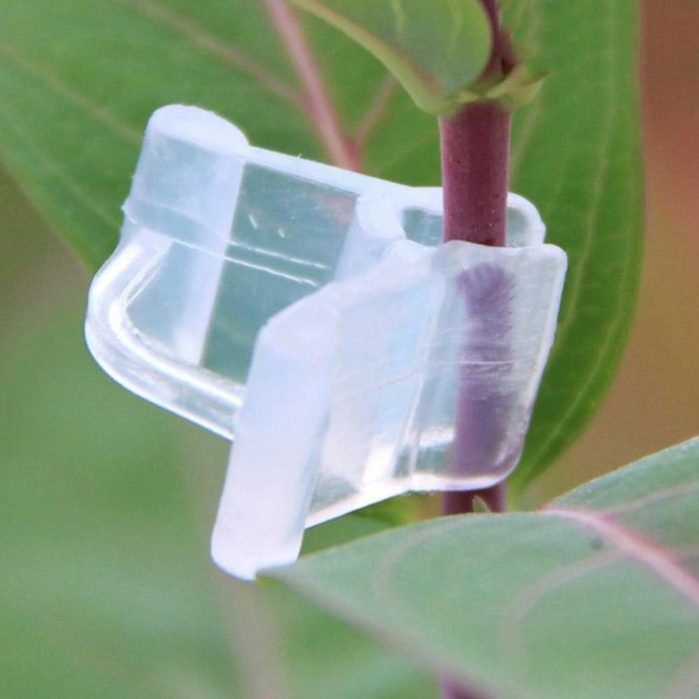 100pcs Plant Clips Supports Reusable Plastic Connects Fixing Vine Tomato Stem Grafting Clips Vegetable Plants Grafting Clamps