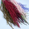 Multicolor Artificial Hanging Plant Foam Accessories Simulated Amaranthus Caudatus Photo Props Ornament
