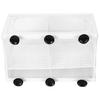Aquarium Fish Breeder Box Isolation Box Breeder Hatchery Incubator with Suction CupL (with Partition)
