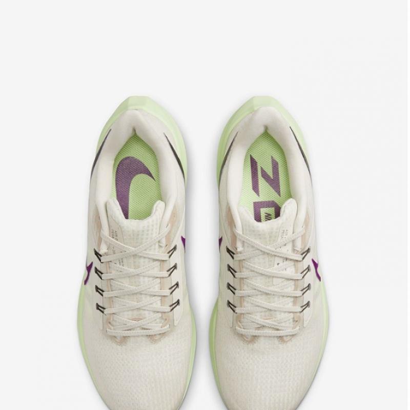Nike Sneakers Running Shoes Pegasus 39 Dh4071 101 Pna2404