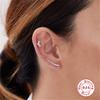 S925 Sterlingsilber Einzelne Krone Ohrknorpel Stecker Ohrringe Bestseller Mode Diamant Gewinde Ohrpiercing Damen Ohrringe