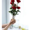 2PCS Flower Arranger, available in four colours, adapted to reuse small and large stems, bouquet holder, spiral stem holder.