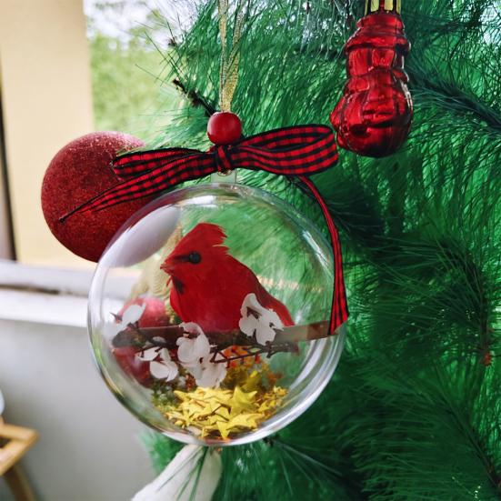 Nature's Birds Ball Ornament 3D Animal Clear Plastic Ball Decoration Christmas Tree Memorial Gift for Bird Lovers