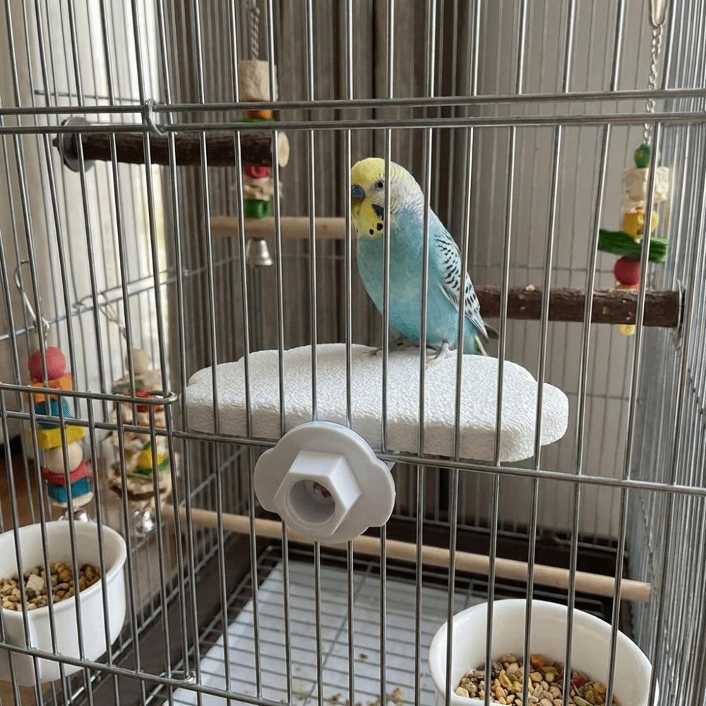 Bissfester Papageienständer Verschleißfester Schnabelschleifständer Vogelzubehör Hüpfständer Wellensittich