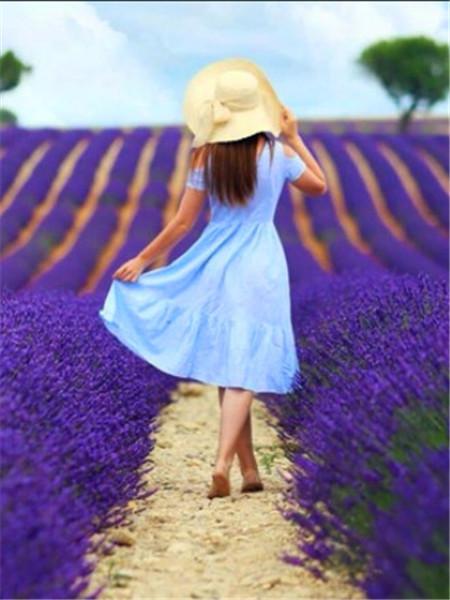 

Девушка Алмазная картина Полный комплект вышивки Алмазный Полный комплект Новинка Декоративные картины на холсте 5d Алмазная картина Мозаика Искусство Full Round 20x30CM