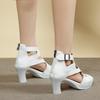 Cutout Fish Mouth Sandals Summer New Round Toe Open Toe Rear Zipper Platform Waterproof Non-Slip Heels
