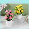 Plastic Fake Plant Pot With Chrysanthemum And Palm For Living Room Decoration