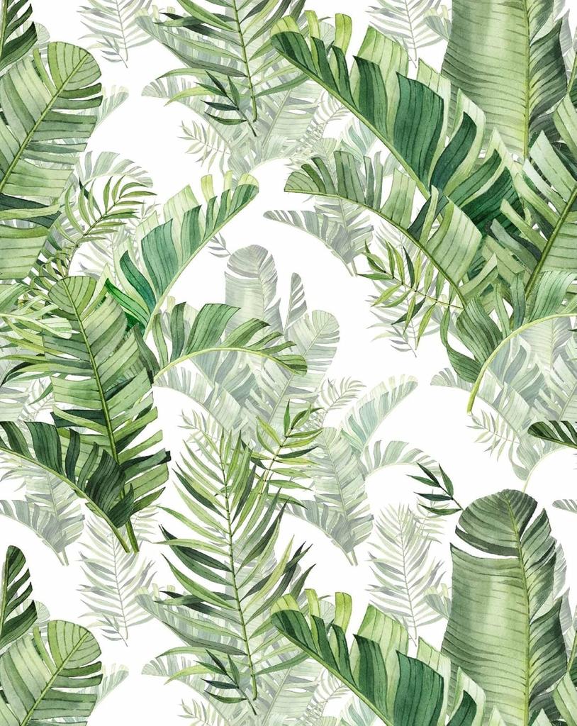 Tropical Palm Leaf Peel and Stick Wallpaper Rainforest Self Adhesive Wallpaper Vinyl Green Leaf Removable Contact Paper