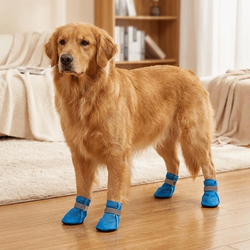 4PCS/SET Wear-Resistant Pet Mesh Shoes Non-Slip Pet Footwear Pet Paw Protector  Training