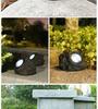 Solar LED Spotlight Outdoor Garden Lawn Decoration with Light Control