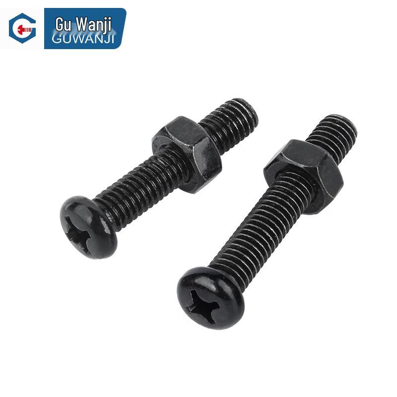 GUWANJI Cross Recessed Pan Head Screw and Hex Nut Kit