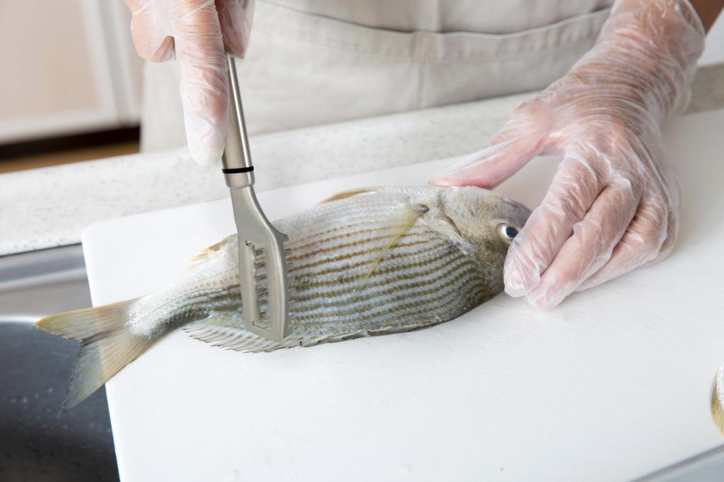 Styleneo Fish Scale Stainless 212 x 36 x 12mm Remover, 18-8 Steel, Chefland,