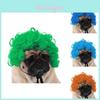 Adorável Peruca Preta Para Animal de Estimação Com Estilo Afro Divertido Para Festas de Halloween e Festivais
