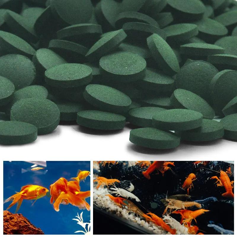 100-3000pc High Purity Spirulina Tablets Spiral Seaweed Enrichment Favorite Pets Food Fish Crystal Red Shrimp Fish Food Aquarium