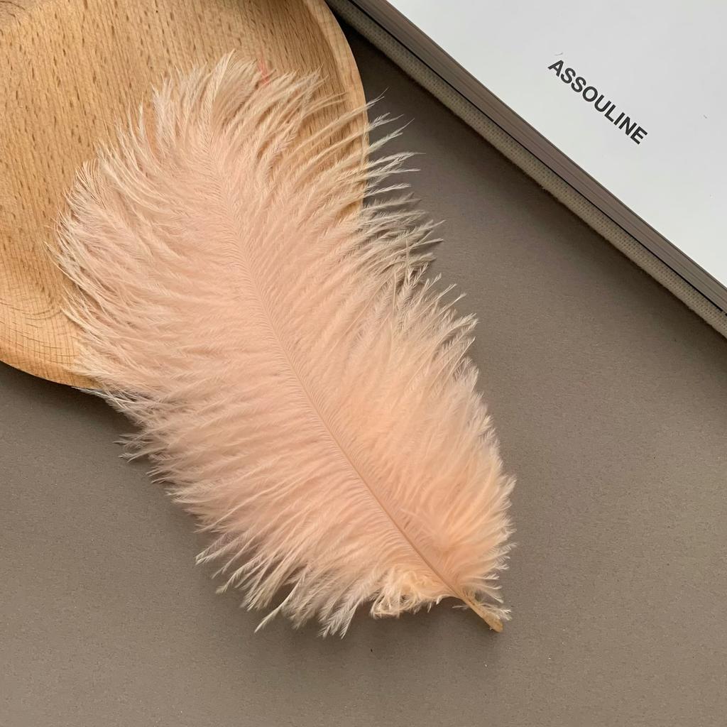 Color ostrich hair 15-20CM ostrich feather Internet celebrity photo background wall feather cake flower arrangement DIY decoration