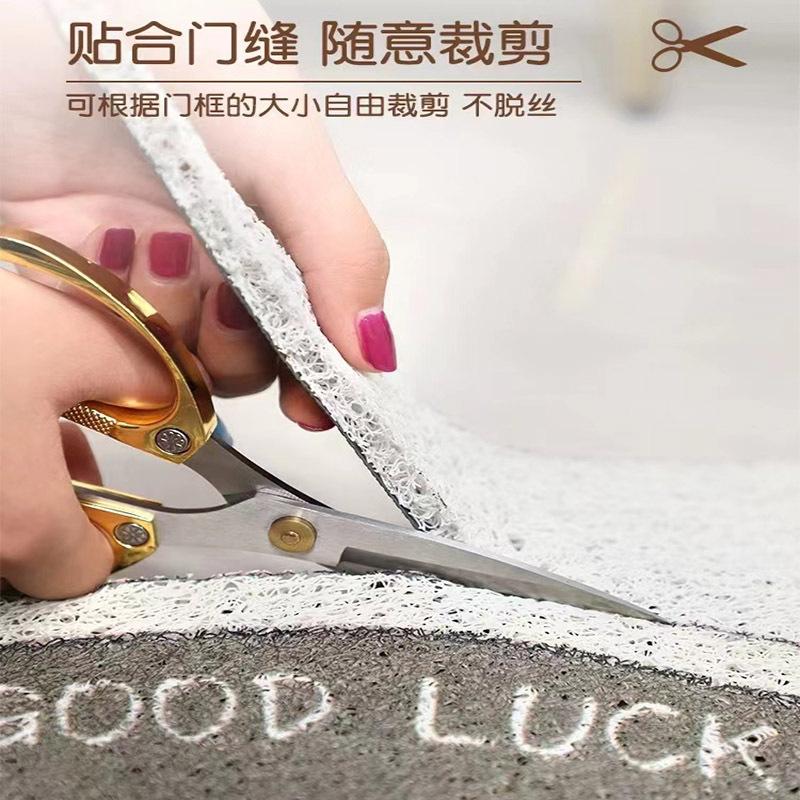 Entry Door Floor Mat Entrance Silk Circle Floor Mat Door Scraping Mud Foot Pad Cartoon Dirt-Resistant Foot Pad
