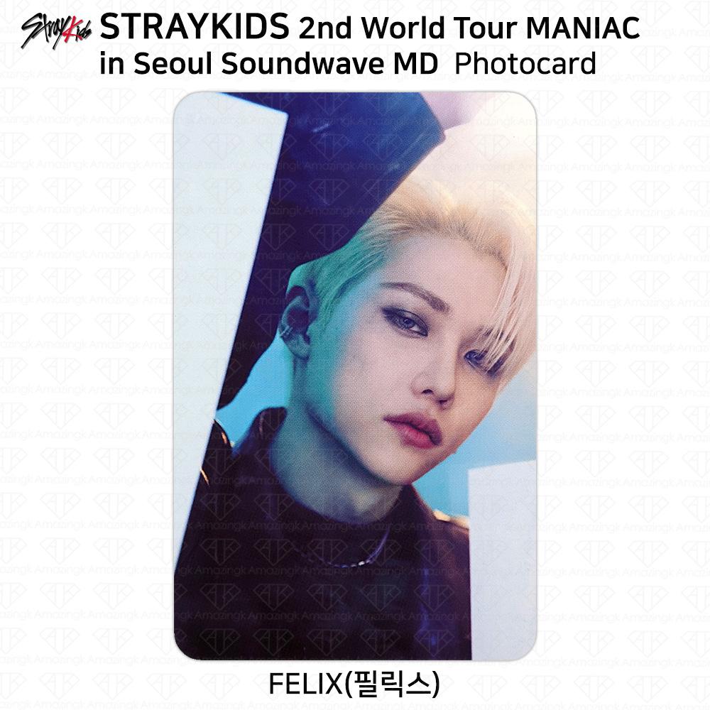 Stray Kids 2nd World Tour MANIAC In Seoul Photocard Polaroid KPOP K-POP