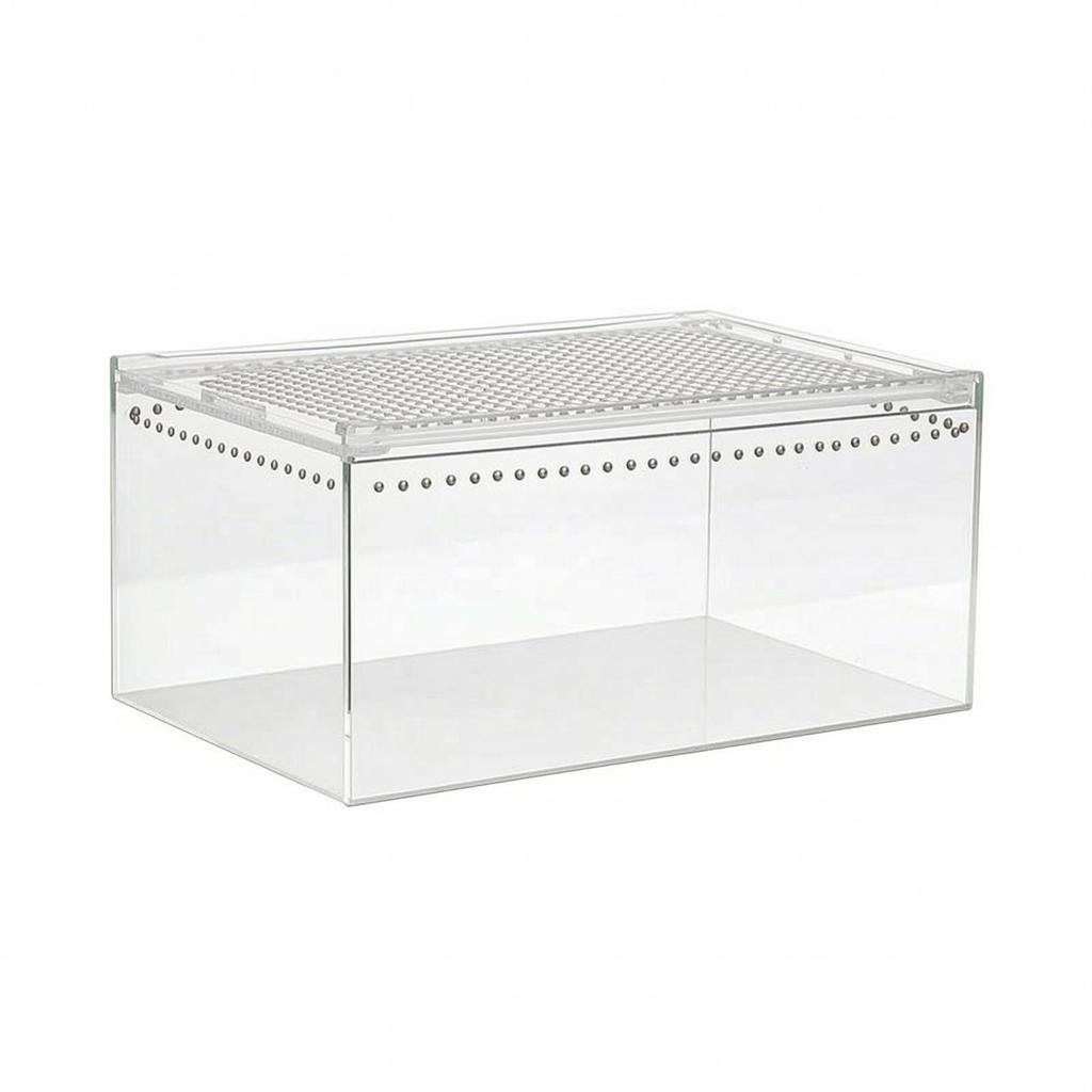 Transparent Reptile Terrarium | Ventilated Top Panel, Enclosure, for