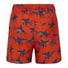 Regatta Boys Skander Shark Swim Shorts